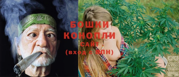 гидра Алексеевка