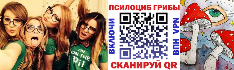 Псилоцибиновые грибы GOLDEN TEACHER  наркота  Исилькуль 