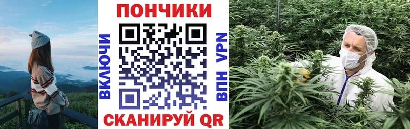 где купить   Исилькуль  Канабис LSD WEED 